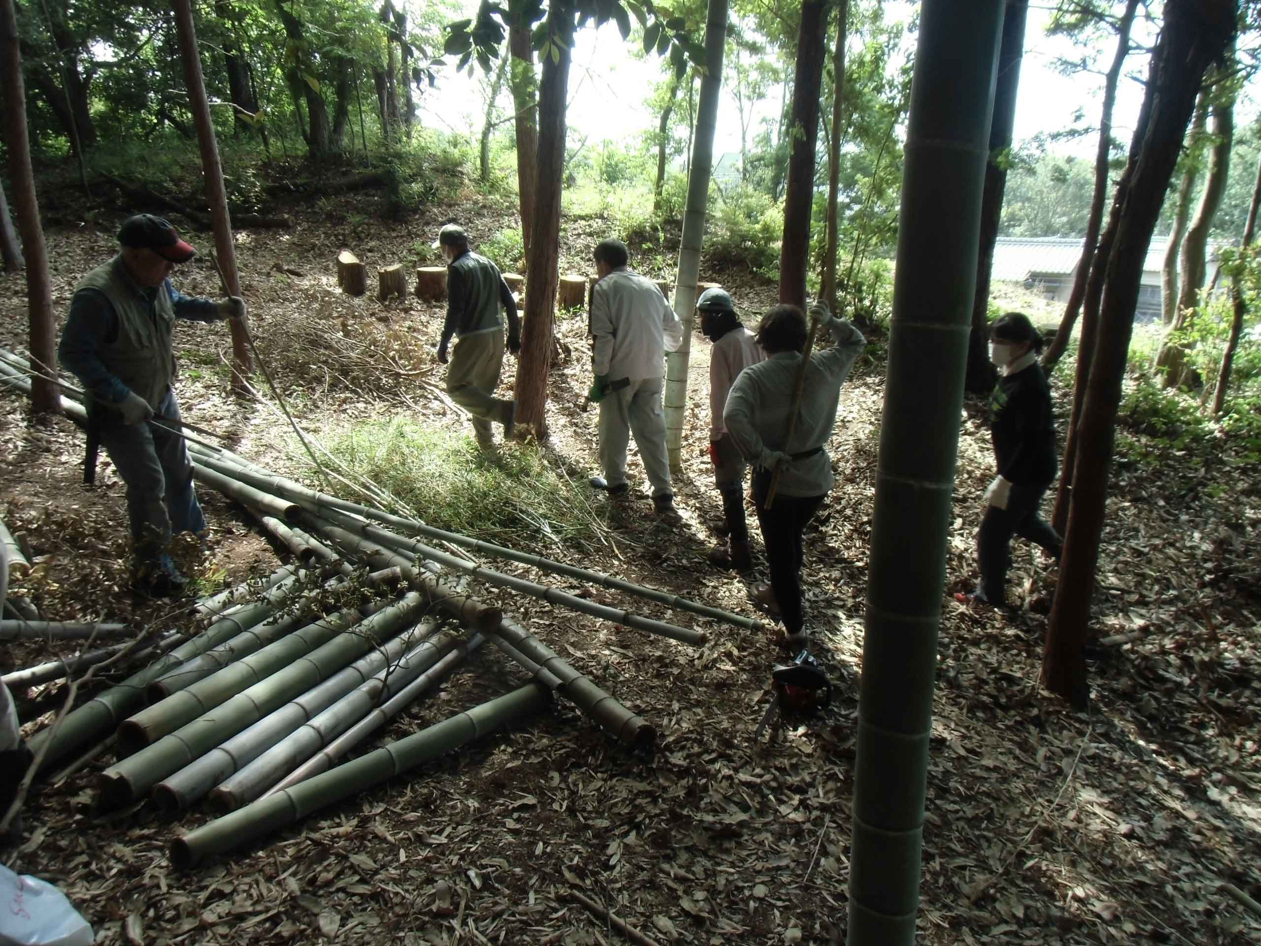 周辺にある伐採竹木の収集